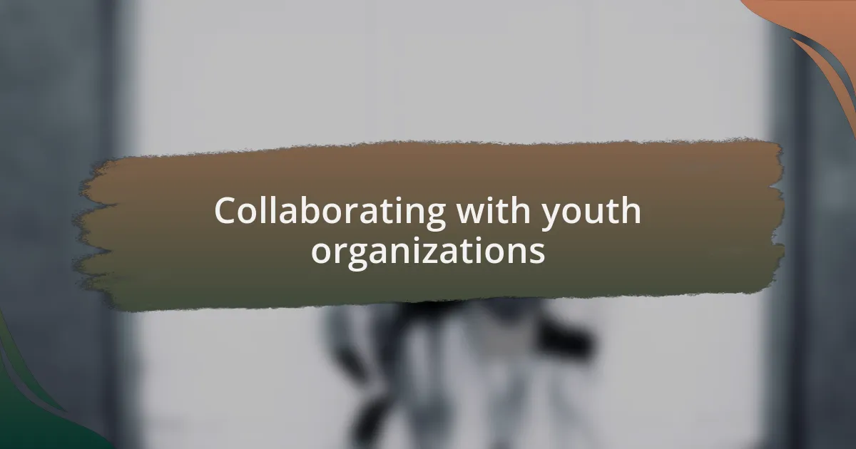 Collaborating with youth organizations