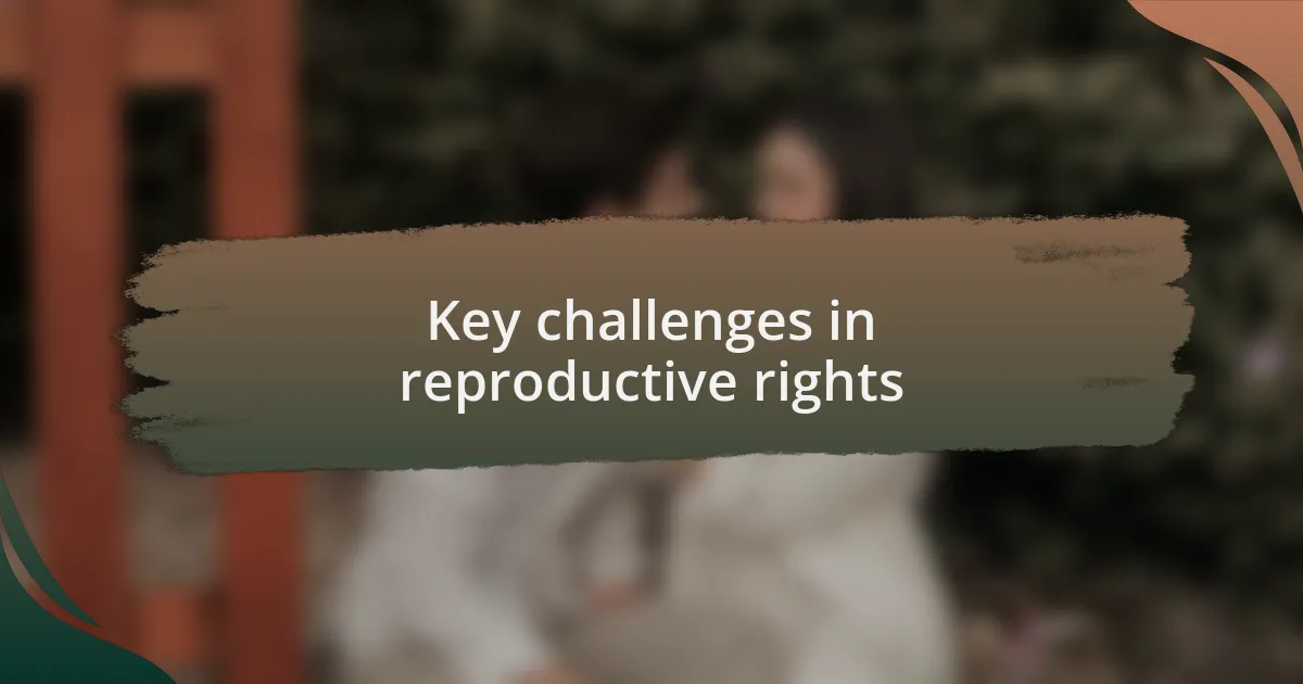 Key challenges in reproductive rights