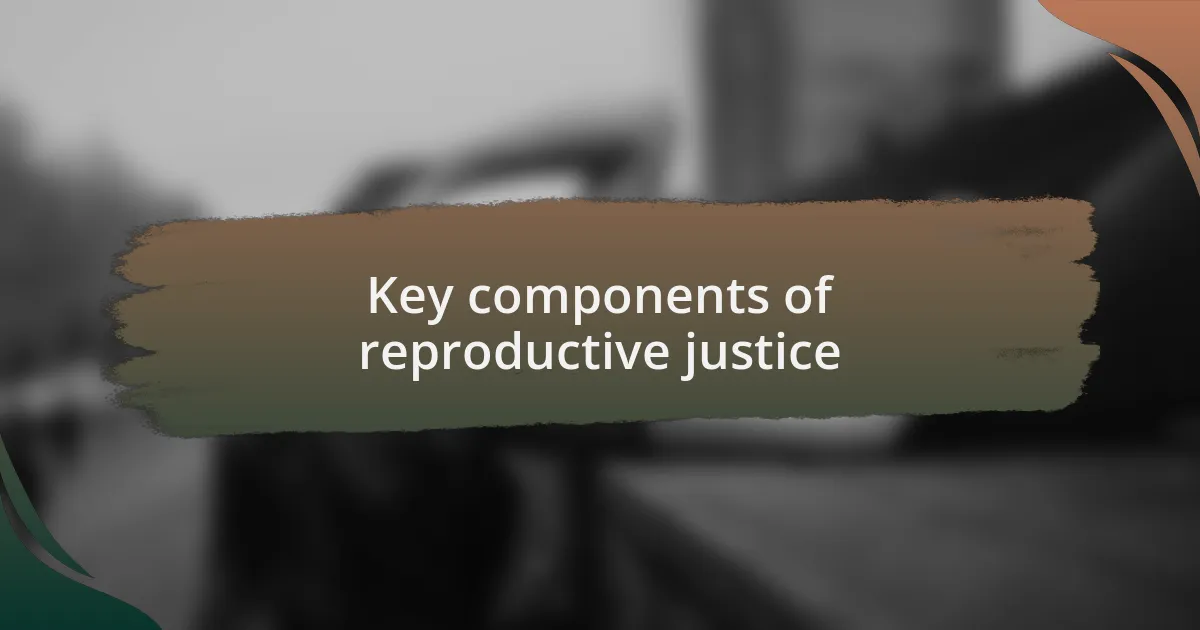 Key components of reproductive justice